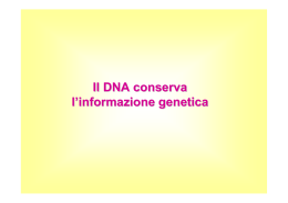 5_Il materiale genetico
