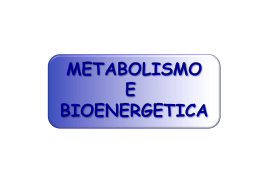 13 - Metabolismo e bioenergetica