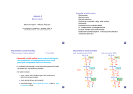 Lezione 5 Nucleotidi e acidi nucleici Nucleotidi e acidi nucleici