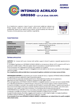 INTONACO ACRILICO GROSSO 1,5-1,a (Cod. 528.00P)