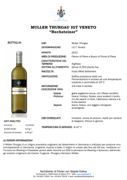 MULLER THURGAU IGT VENETO &ldquo;Rechsteiner&rdquo;