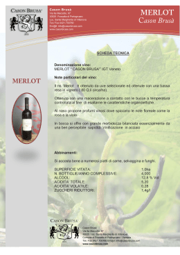 Denominazione vino: MERLOT “ CASON BRUSA`” IGT Veneto Note