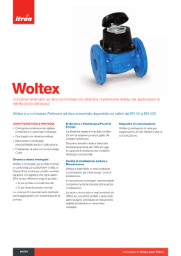 Woltex - Itron