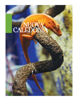 scarica il catalogo - Ami Travel Tour Operator