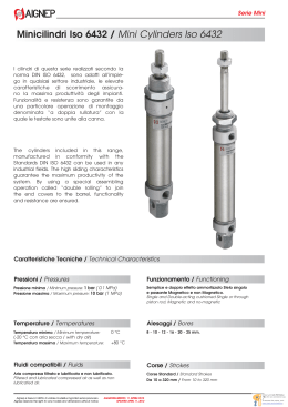 Minicilindri Iso 6432 /