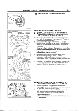 MOTORE  - Catena di distribuzione