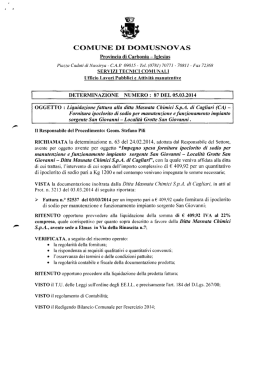 Liquidazione fattura alla ditta Masnata Chimici S.p.A. di Cagliari (CA)