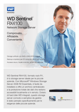 WD Sentinel™ RX4100 Small Business Storage