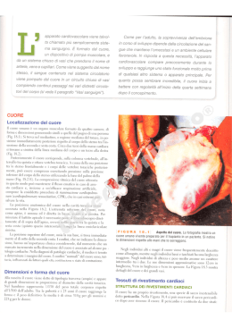 pagine di esempio - Libreria Universo