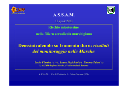 Deossinivalenolo su frumento duro