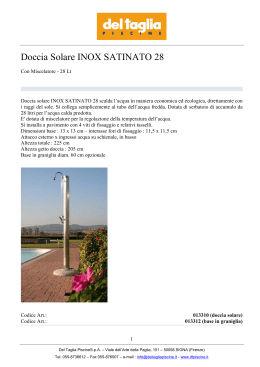 Doccia Solare INOX SATINATO 28