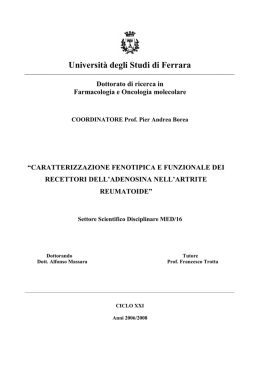 Universit&agrave; degli Studi di Ferrara