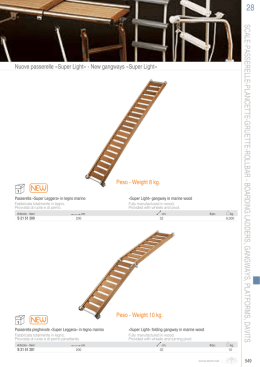 scale-passerelle-plancette-gruette-rollbar