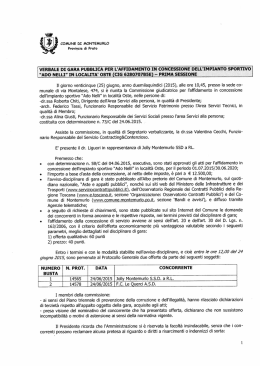 Verbale di gara pubblica per l`affidamento in concessione dell