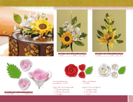 la confezione contiene 12 Kit ogni Kit comprende: