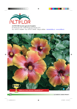 Hibiscus rosa-sinensis `Jumboliscus`® ALTIFLOR