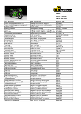 K13-04 Kawasaki ZX10R by LighTech