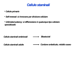 Diapositiva 1 - Biotecnologie Mediche, Veterinarie