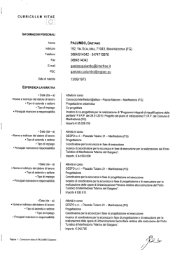 CURRICULUM VITAE PALUMBO GAETANO