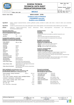 scheda tecnica technical data sheet produktspezifikation
