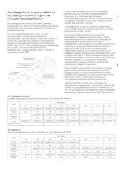 Raschiapol=oere supplementari in acciaio (protettore