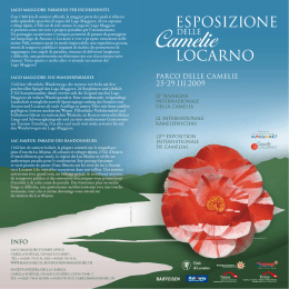 LAGO MAGGIORE: PARADISO PER ESCURSIONISTI. Con 1`600