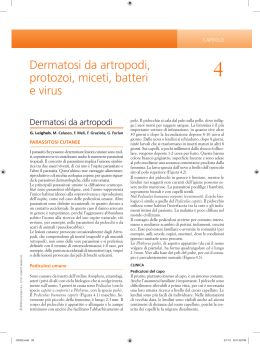 Sfoglia Dermatosi da artropodi