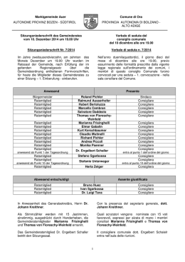 Verbale Consiglio Comunale