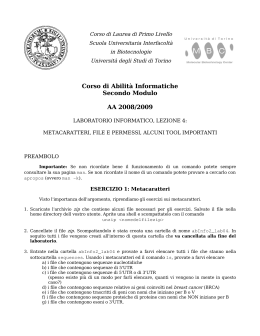 Corso di Abilità Informatiche Secondo Modulo AA 2008/2009