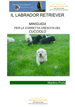 IL LABRADOR RETRIEVER - Labrador della Spippola