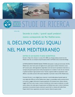 iL DecLino DeGLi sqUaLi neL mar meDiterraneo