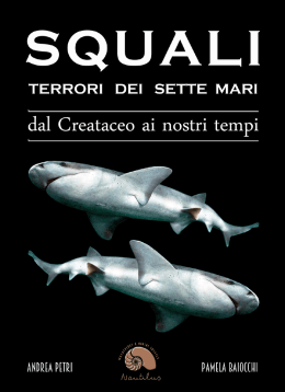 – Squali, terrori dei sette mari