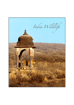 Itinerario dettagliato_India Wildlife