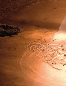 Dornbracht - colourliving