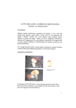 Sesto Incontro