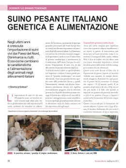 Suino pesante italiano Genetica e alimentazione