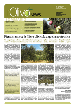 l`Olivo News n. 3 - Settembre 2014