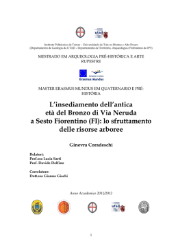 L`insediamento dell`antica et&agrave; del Bronzo di Via Neruda a Sesto