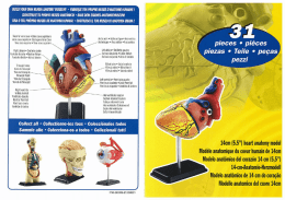 Page 1 BUILD YOUR OWN |\`l.|`MAl`IAMATUMII MUSEUM