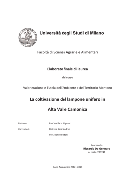 La coltivazione del lampone unifero in Alta Valle Camonica