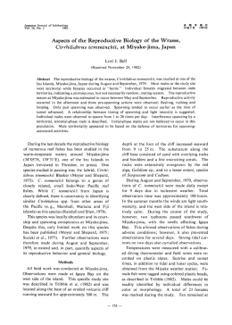 Aspects of the Reproductive Biology of the Wrasse, Cirrhilabrus