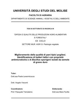 TESI Dottorato FAVILLA MARA - ROAD Unimol