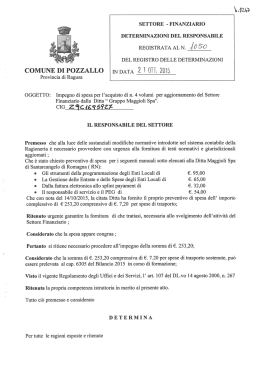 Testo provvedimento