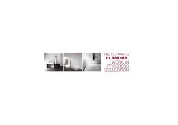 THE ULTIMATE FLAMINIA. WORK IN PROGRESS COLLECTION