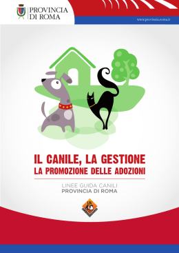Le Linee Guida