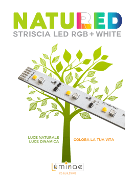 STRISCIA LED RGB WHITE