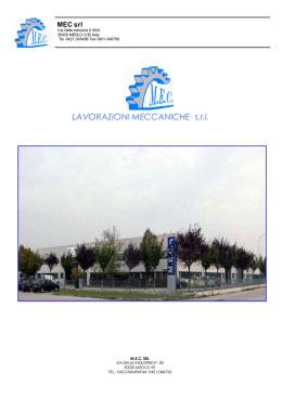 LAVORAZIONI MECCANICHE s.r.l.