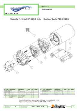 Modello / Model EF 2200 12v Codice/Code 7306
