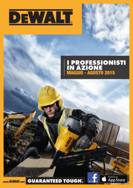 I PROFESSIONISTI IN AZIONE