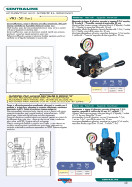 VIG (50 Bar) - Bertolini Pumps